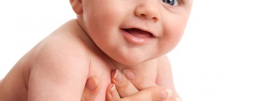 Infants: Cherub on white background